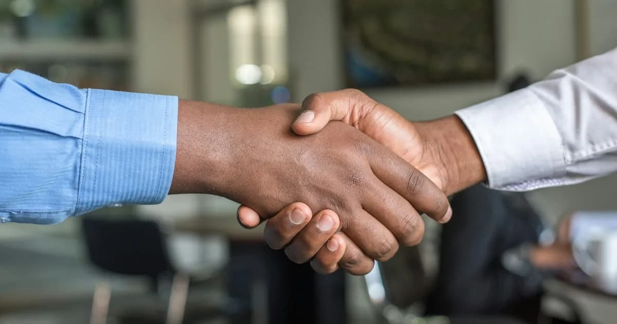 Fractional CFO or chartered accountant: what’s the difference?